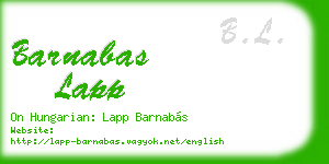 barnabas lapp business card